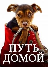 Путь домой