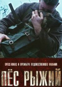 Пёс рыжий