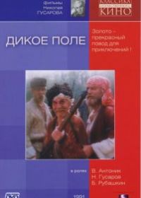 Дикое поле