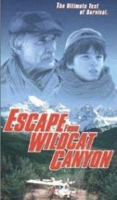 Побег из каньона дикой кошки