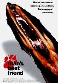 Лучший друг человека