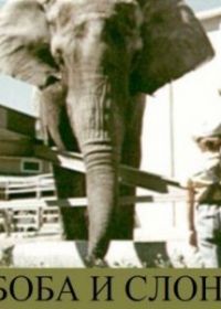Боба и слон