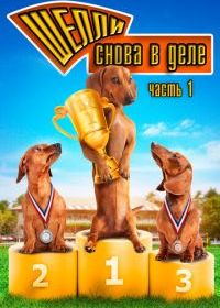 Шелли снова в деле
