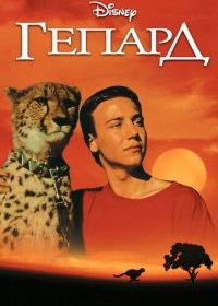 Гепард