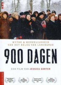 900 дней