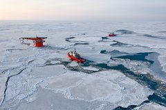 Арктика - документальные