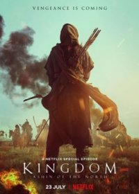 Королевство зомби: История Ашинь