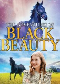 Приключения Черного Красавчика