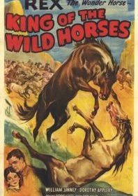 Король диких лошадей