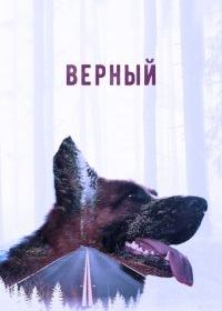 Верный