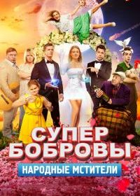 СуперБобровы. Народные мстители