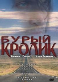 Бурый кролик