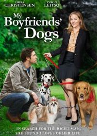 Собаки моих бывших