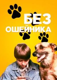 Без ошейника