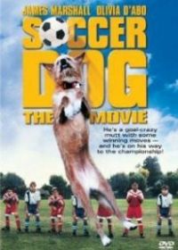 Король футбола