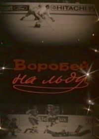 Воробей на льду