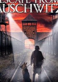 Побег из Освенцима