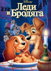 Леди и бродяга