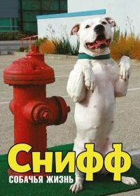 Снифф: Собачья жизнь