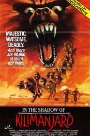 В тени Килиманджаро