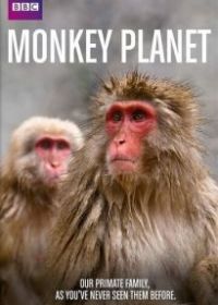 Планета обезьян