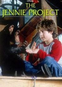 Проект Дженни