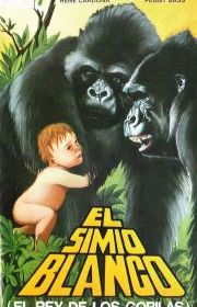 Тарзан - царь обезьян