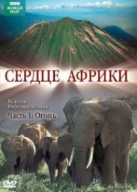 BBC: Сердце Африки