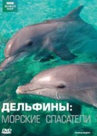 Дельфины: Морские спасатели