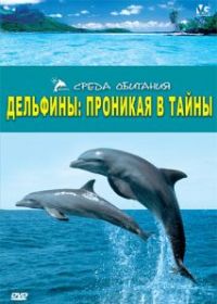 Дельфины: Проникая в тайны