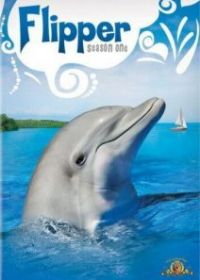 Флиппер
