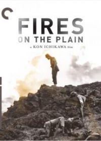 Полевые огни