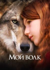 Мой волк