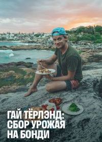 Гай Тёрлэнд: Сбор урожая на Бонди