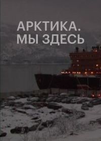 Арктика. Мы здесь