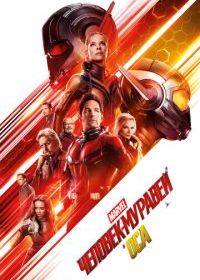 Человек-муравей и Оса