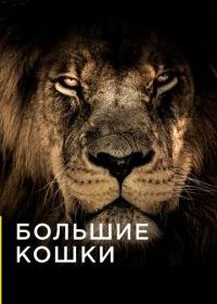 Большие кошки