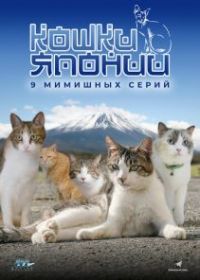 Кошки Японии