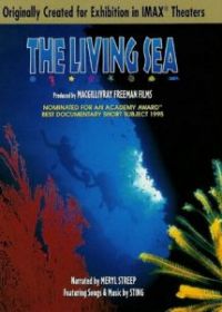 Живой океан