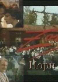 Цорн