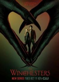 Винчестеры