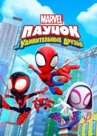 Паучок и его удивительные друзья