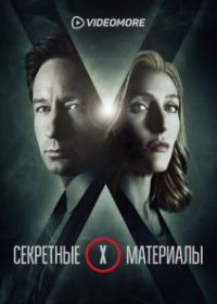 Секретные материалы