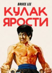 Кулак ярости