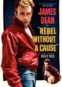 Бунтарь без причины