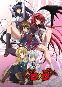 Старшая школа DxD