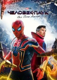 Человек-паук: Нет пути домой