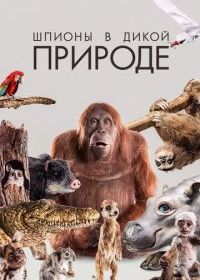 Шпионы в дикой природе