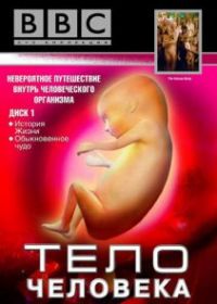 BBC: Тело человека