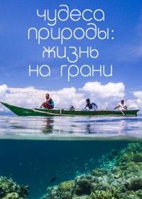 Чудеса природы. Жизнь на грани